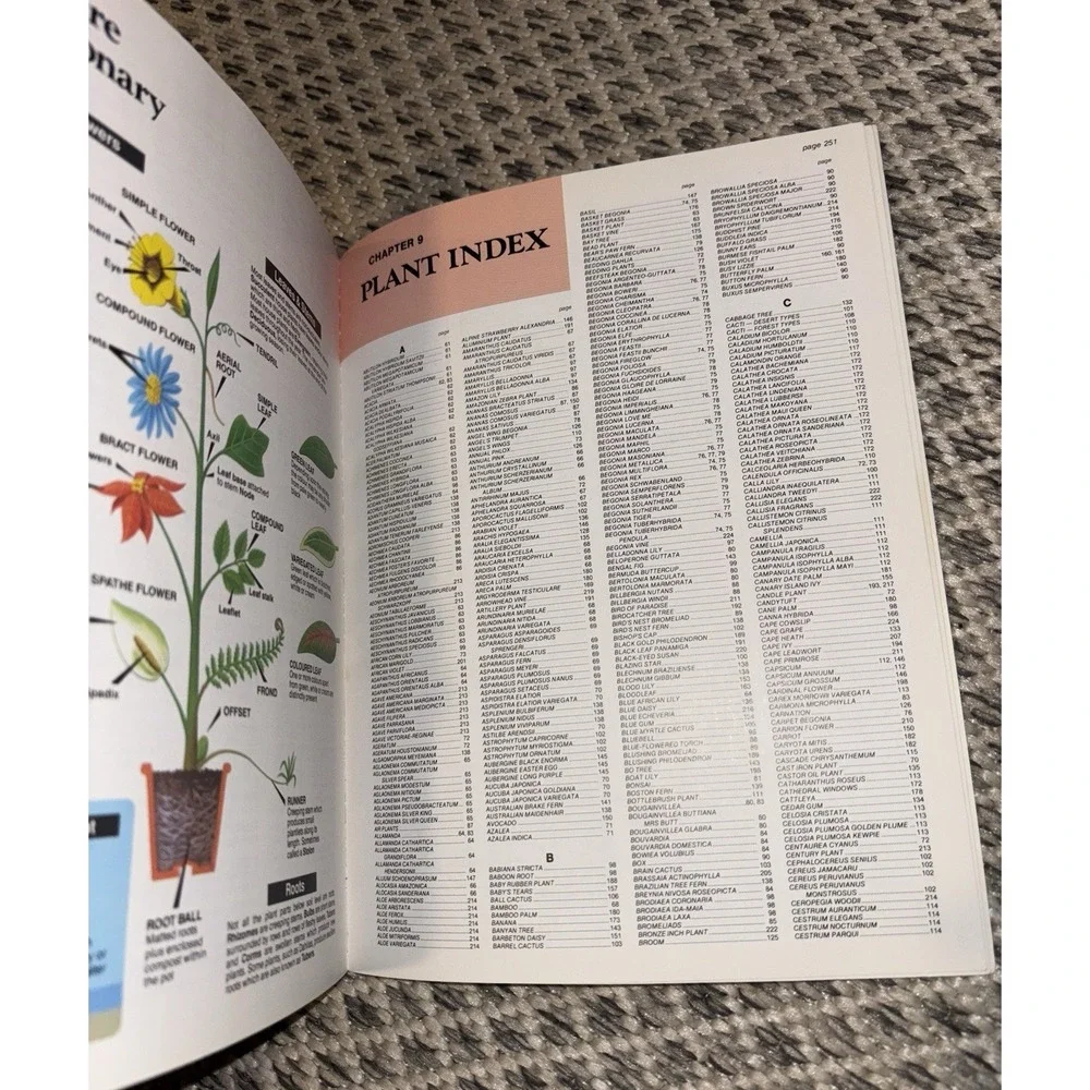 The House Plant Expert Dr. D. G. Hessayon 2002 Version Non Fiction Book Botany